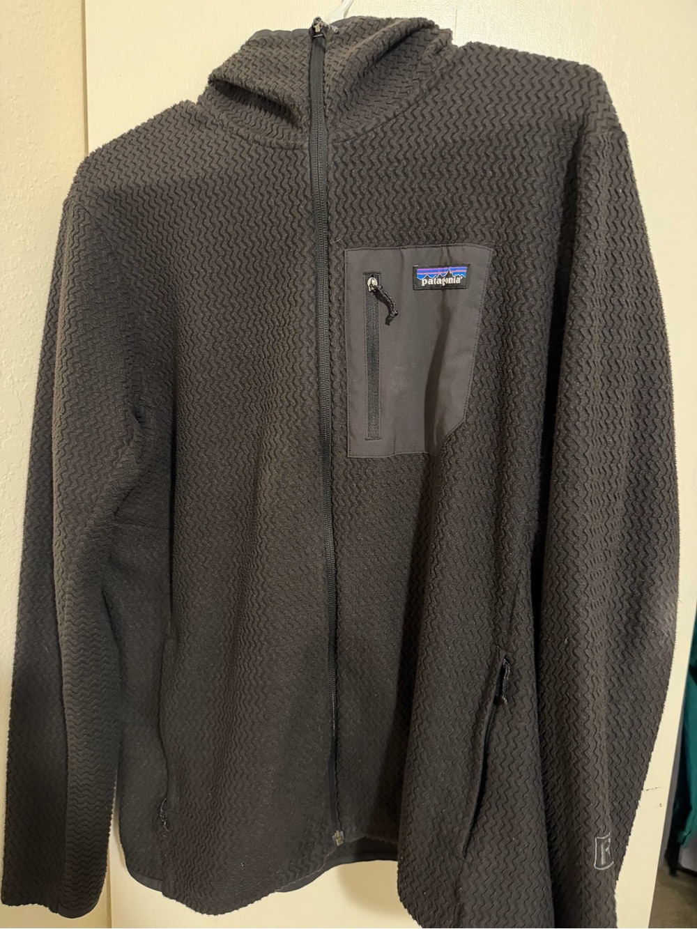 Patagonia Men’s R1 Air Hooded Jacket